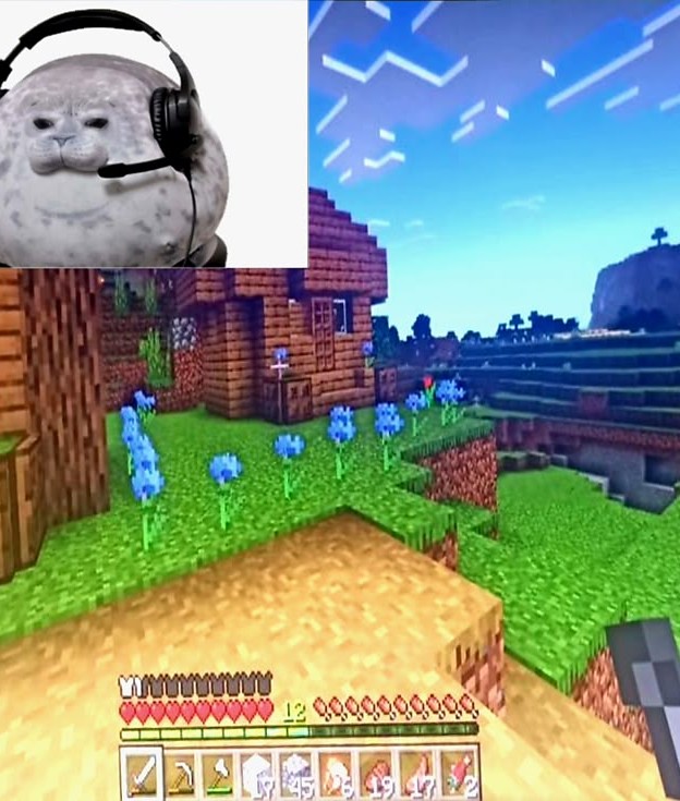 Gustav Minecraft